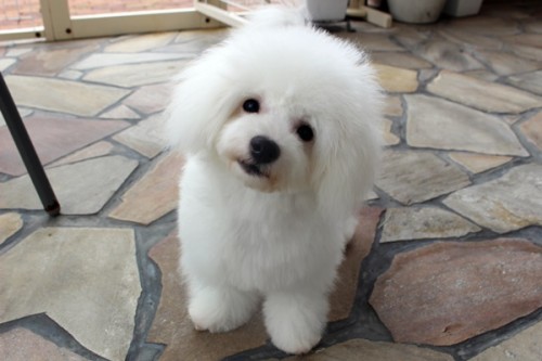 6738dfc108f29072e64d4b5a0aec0de9