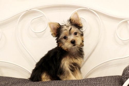 20210910_2510801-500x334