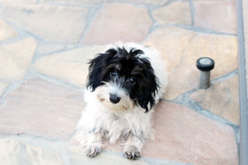 20221029_2984109-500x333