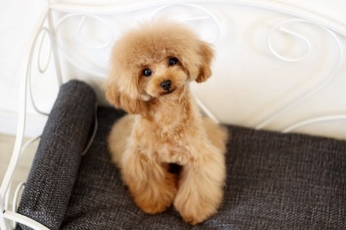 20231006_3146232-500x333